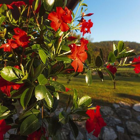 Holiday Homes I&G By The River Next To Olimje Kozje Екстер'єр фото